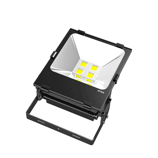 150W COB outdoor LED flood light
