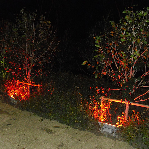 LED underground light